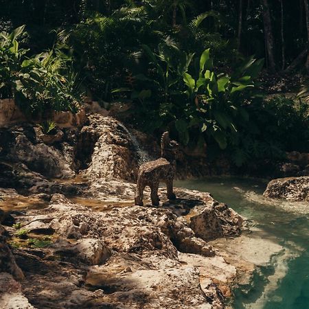 Hotel Amaite Retreat Tulum Macario Gomez Exteriér fotografie